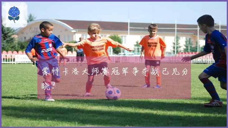 蒙特卡洛大师赛冠军争夺战已见分晓？